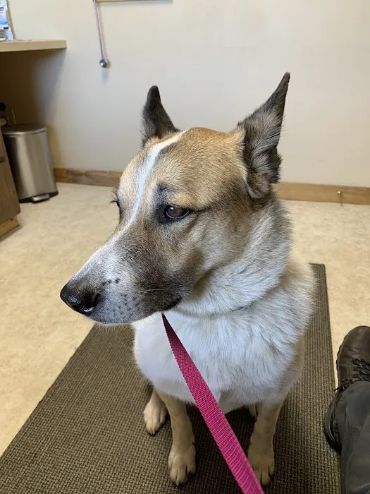 Nederland Veterinary Hospital Picture 7