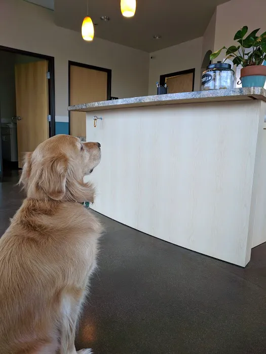 Stroh Ranch Pet Health Picture 2