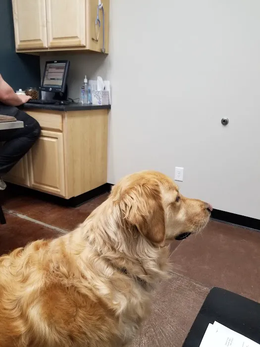 Castle Pines Veterinary Hospital Picture 8