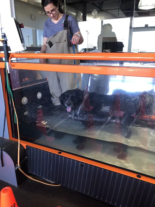 Animal Rehabilitation And Wellness Center Picture 1