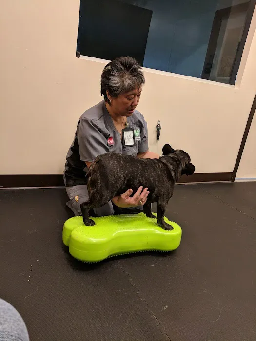 Animal Care Center of Castle Pines Picture 3