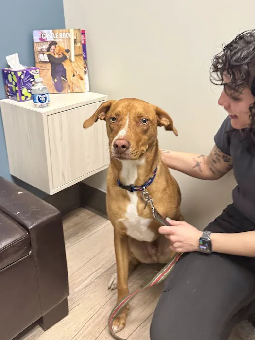 Brekke Veterinary Clinic Happy Canyon Rd Picture 6
