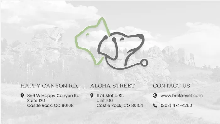 Brekke Veterinary Clinic Happy Canyon Rd Picture 9