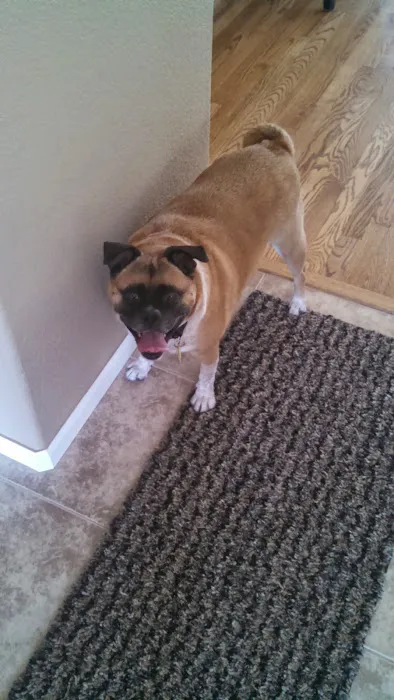 Pinery Veterinary Center Picture 2