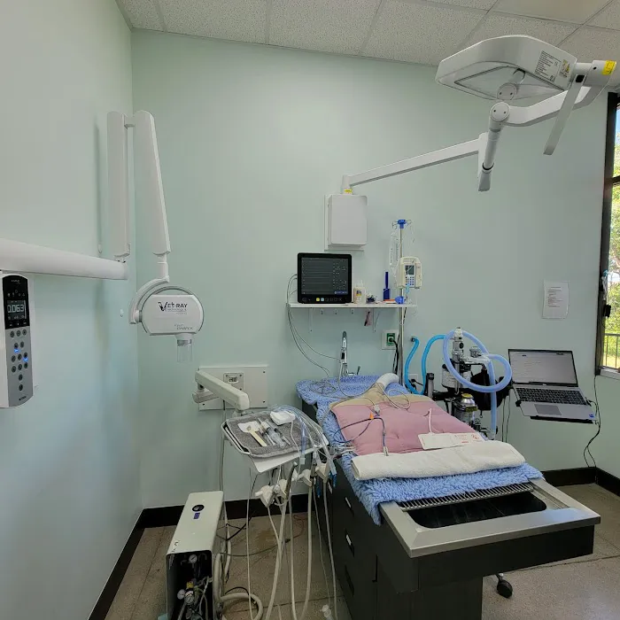 Pinery Veterinary Center Picture 5