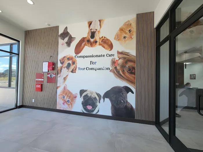 Pinery Veterinary Center Picture 8