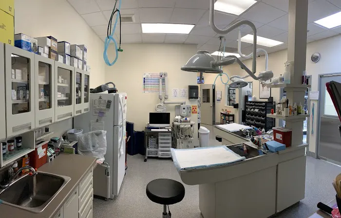 American Canyon Veterinary Hospital Picture 4