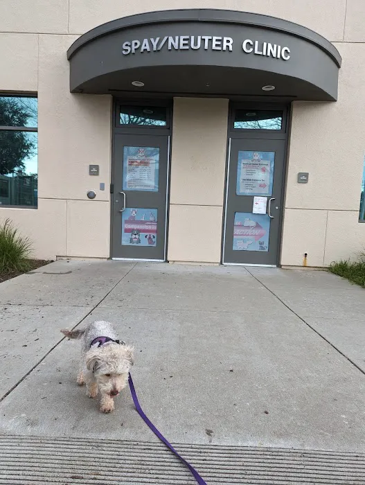 Contra Costa Spay & Neuter Picture 2