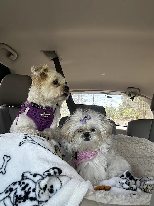 Montecito Animal Clinic Picture 5