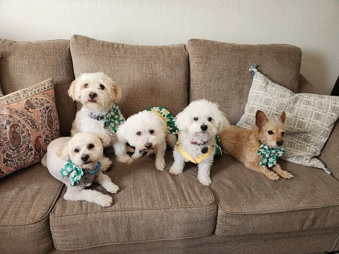 Montecito Animal Clinic Picture 10