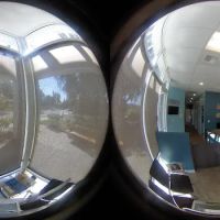Oasis Veterinary Hospital ico