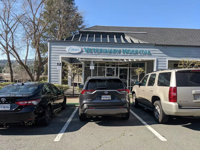 Oasis Veterinary Hospital Picture 4