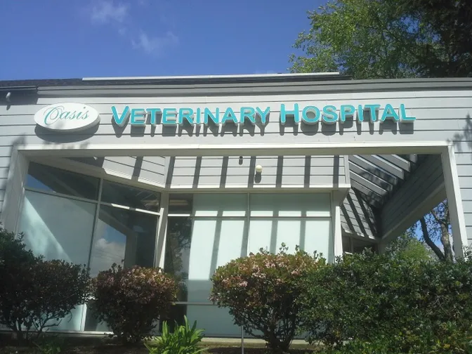 Oasis Veterinary Hospital Picture 7