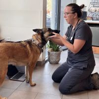 Veterinary Emergency Group ico