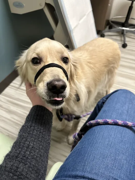 SAGE Veterinary Centers - Concord Picture 1