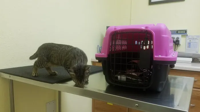 Sun Valley Pet Hospital Picture 3