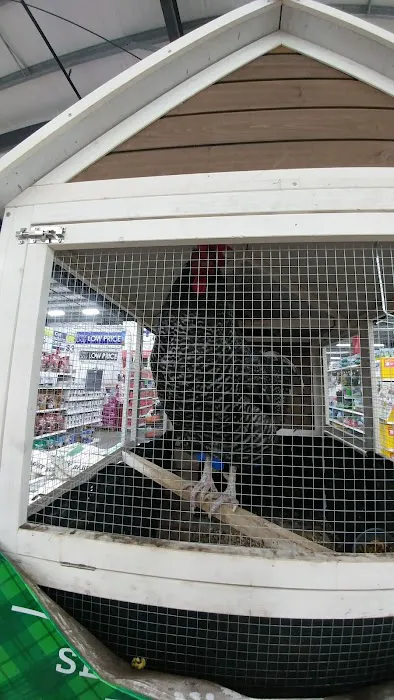 Country Critters Veterinary Clinic Picture 8