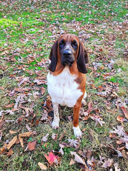Roe-Burke Veterinary Services Picture 8