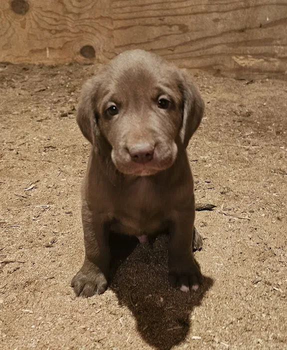 Roe-Burke Veterinary Services Picture 7