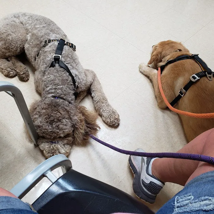 Elizabethtown Animal Hospital Inc Picture 4