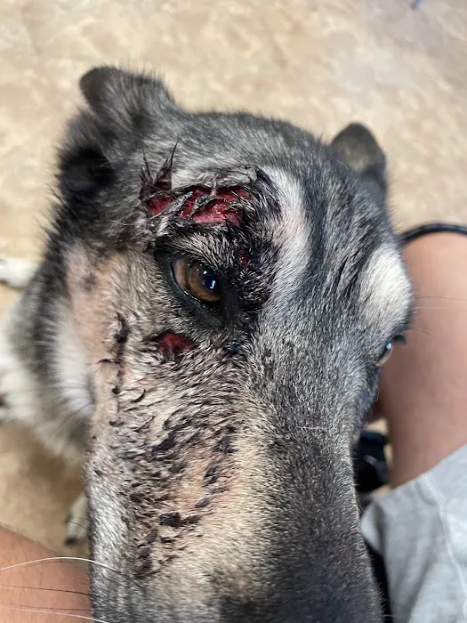 Elizabethtown Animal Hospital Inc Picture 5