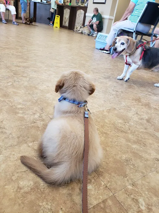 Elizabethtown Animal Hospital Inc Picture 6
