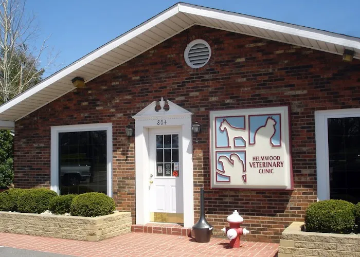 Helmwood Veterinary Clinic Picture 10