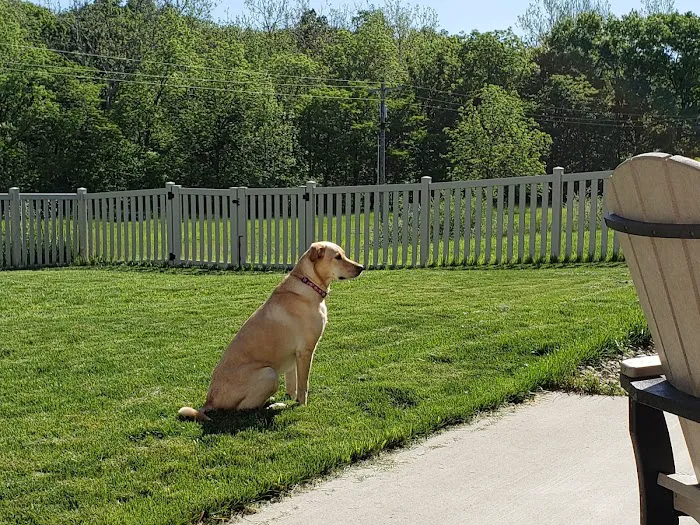 Lake City Animal Health & Wellness Center Picture 1