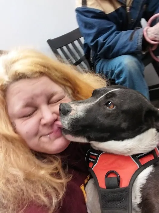 Lake City Animal Health & Wellness Center Picture 2