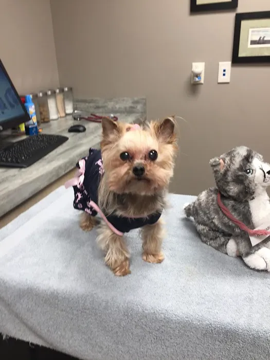 Lake City Animal Health & Wellness Center Picture 5