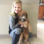 Milford Animal Clinic Inc