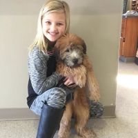 Milford Animal Clinic Inc ico