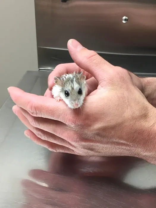 Milford Animal Clinic Inc Picture 7