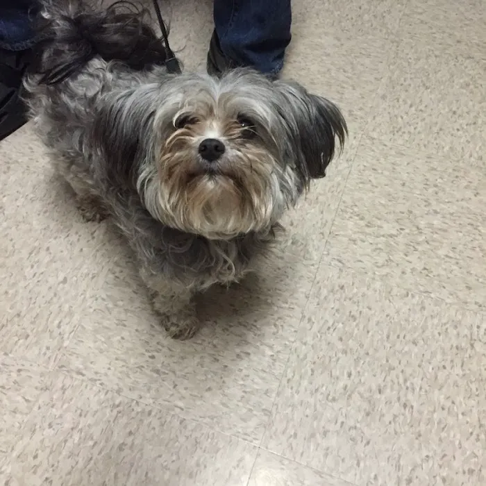 Milford Animal Clinic Inc Picture 5