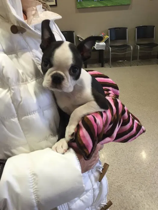 Milford Animal Clinic Inc Picture 10