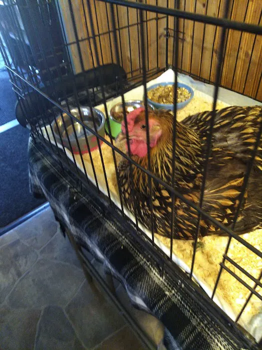 Goshen Animal Clinic Picture 1