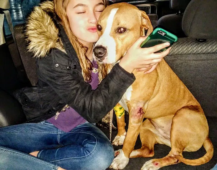 Goshen Animal Clinic Picture 8