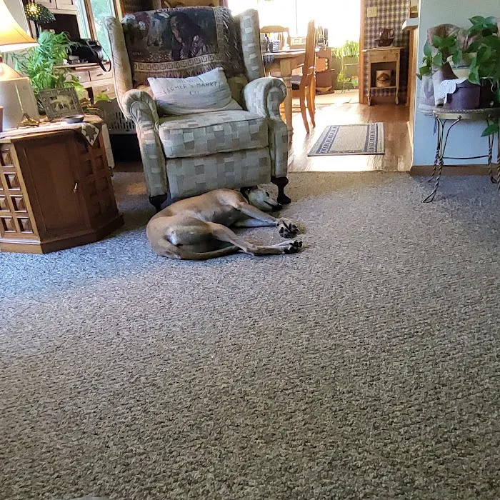 Maplecrest Animal Hospital Picture 10