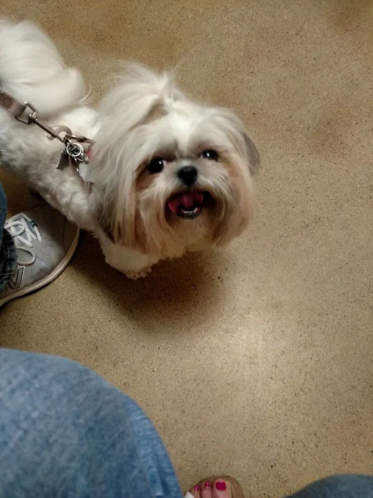 Community Animal Hospital, LLC Picture 1