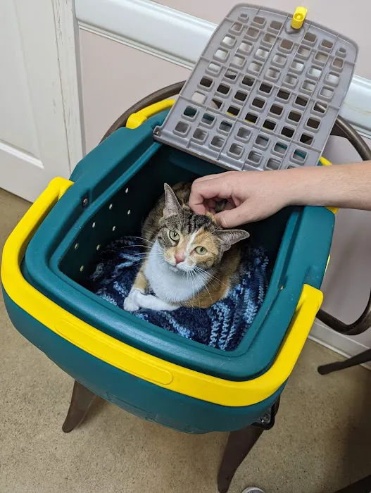 Community Animal Hospital, LLC Picture 2