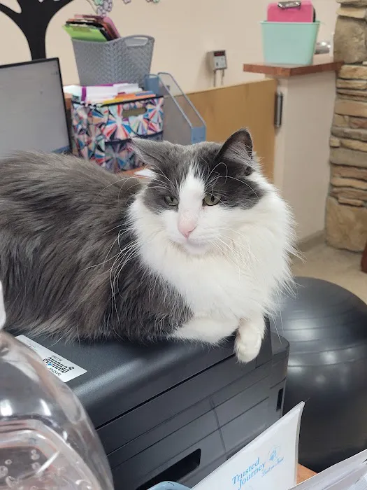Crossroads Veterinary Clinic Picture 7