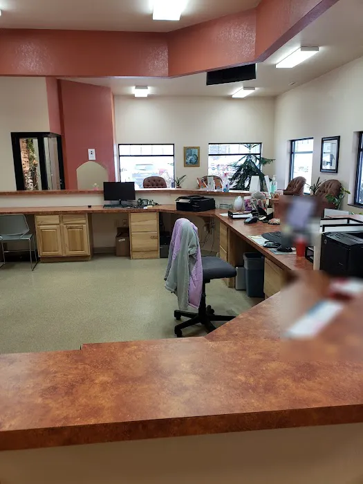 Crossroads Veterinary Clinic Picture 3