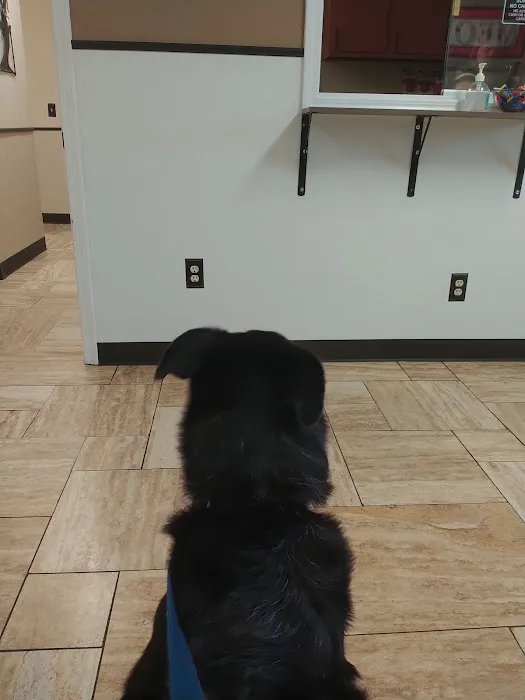 Hedges Veterinary Hospital Picture 3