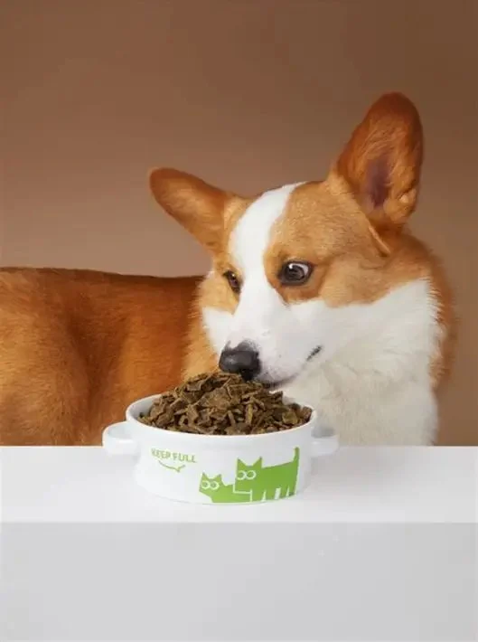 Top Supplements for Supporting Dog Joint Health