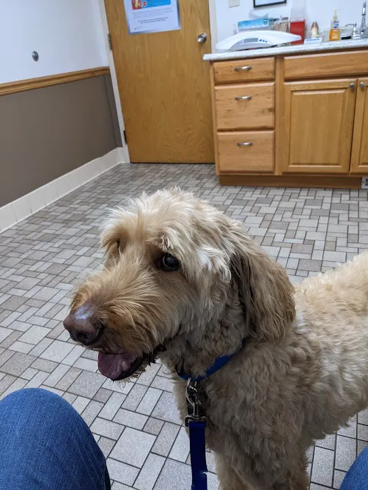 Animal Care Clinic North Picture 2