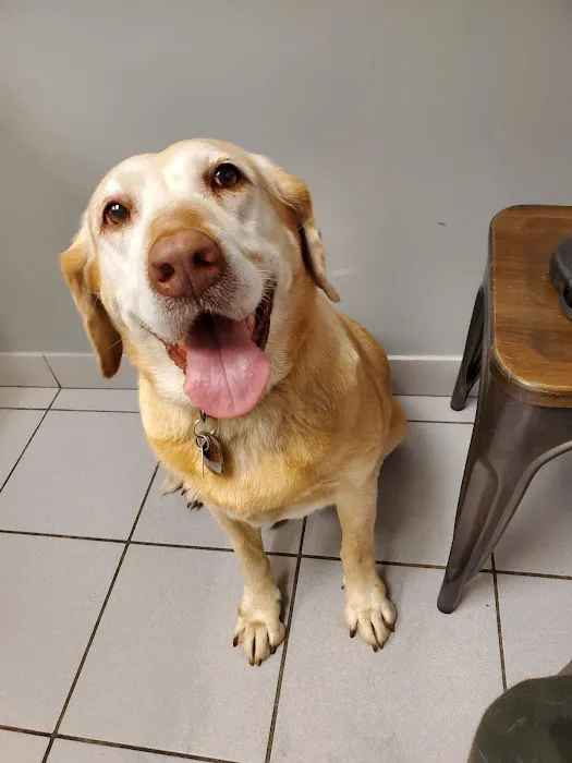 Lane Animal Hospital Picture 1