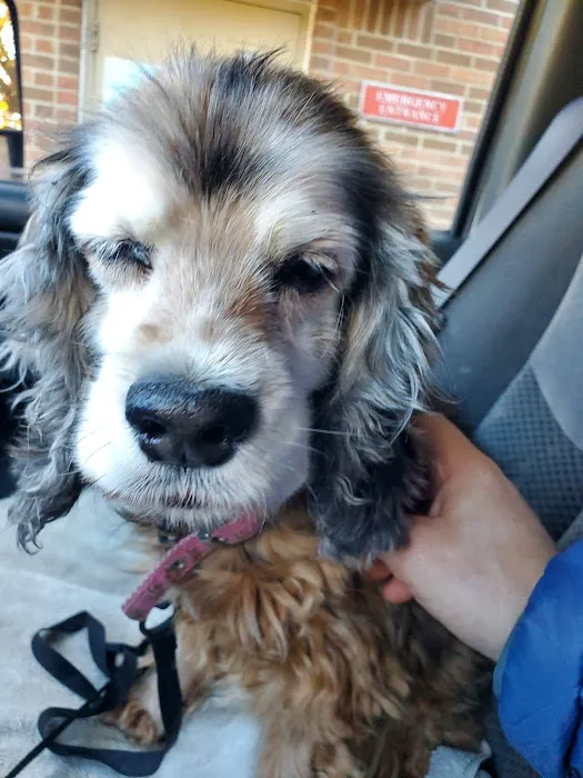 Lane Animal Hospital Picture 7