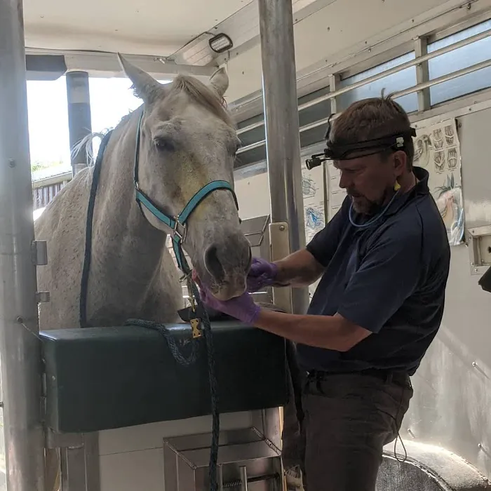 Advanced Equine Dentistry Picture 1