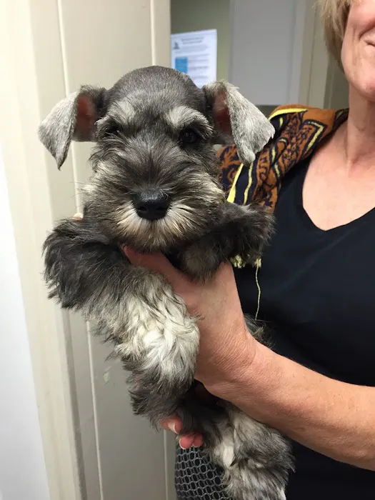 Westarbor Animal Hospital Picture 4