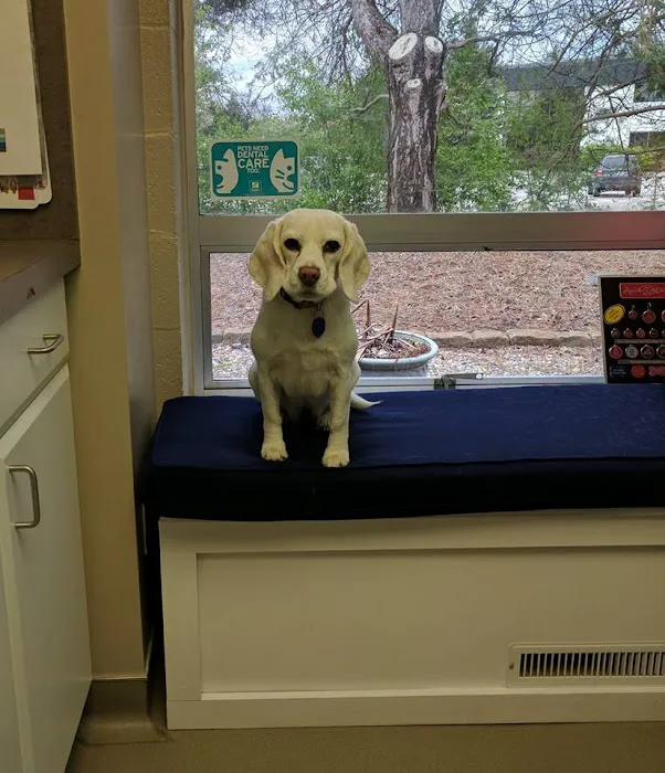 Westarbor Animal Hospital Picture 8